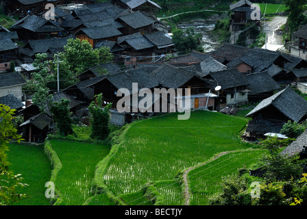 Reis-Terrassen und das Dorf der Miao-Minderheit, Xijiang, Guizhou, Südchina Stockfoto