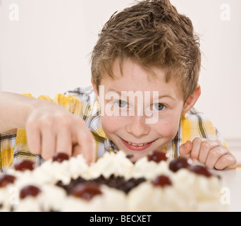 Junge heimlich ein Stück Schwarzwälder Kirschtorte Essen Stockfoto