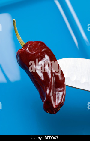 Getrocknete Peperonccini, japanische Messer, blaue Platte Stockfoto