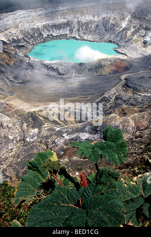 Vulkan Poás, Nationalpark im zentralen Hochland der Provinz Alajuela, Hauptkrater mit blauem Wasser, Dampf, Smo Schwefel Stockfoto