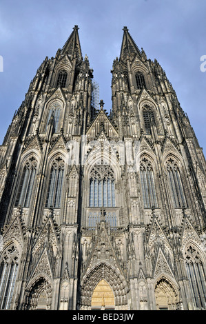 Kölner Dom, Köln, Nordrhein-Westfalen, Deutschland, Europa Stockfoto