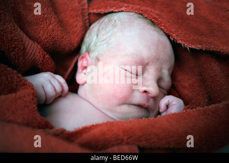 Neues Baby geboren junge, nur ein paar Stunden alt, in roten Handtuch gewickelt. Stockfoto