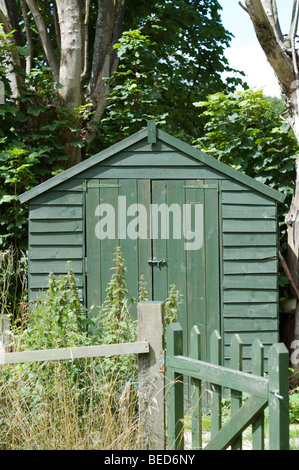 Grüner Holzschuppen auf einer Zuteilung in Brighton, East Sussex, England, Großbritannien. Stockfoto