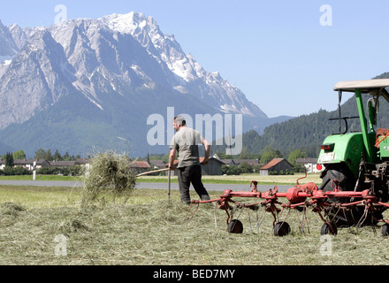 Landwirt, drehen das Heu auf einem Feld von hand vor das Wettersteingebirge mit Mt Zugspitze, in der Nähe von Garmisch-Partenkirchen, Ba Stockfoto