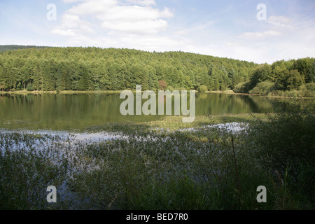 East Cheshire, England. Ländliche Ansicht des Trentabank-Stausees mit Macclesfield Wald im Hintergrund. Stockfoto