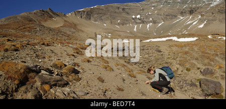 Wanderer auf der Suche nach Mineralien in den Alpen, felsige Berglandschaft in den Hochbergen, Nationalpark hohe Tauern, Alpen, Cent Stockfoto