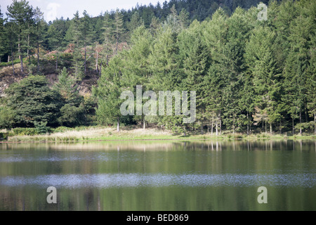 East Cheshire, England. Ländliche Ansicht des Trentabank-Stausees mit Macclesfield Wald im Hintergrund. Stockfoto