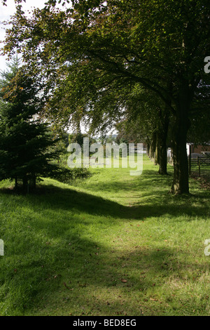 East Cheshire, England. Macclesfield Wald Arboretum. Stockfoto