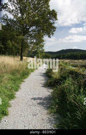 East Cheshire, England. Macclesfield Wald öffentlichen Fußweg. Stockfoto