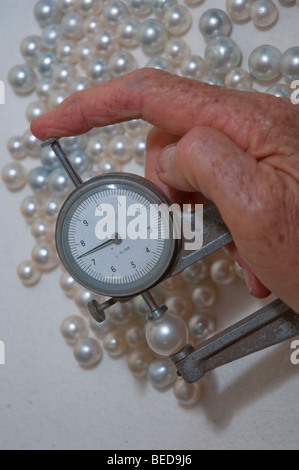 Messung der Größe des kultivierten Perlen auf pearl Farm in Western Australia Stockfoto