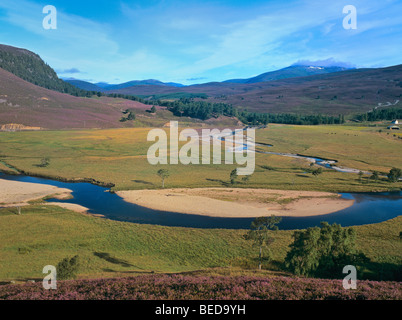 Morgen Stimmung bei Dee Tal mit Fluss Dee, Braemer, Schottland, Großbritannien, Europa Stockfoto