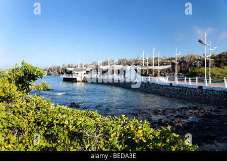 Wichtigsten Landung Wharf für Schiffe und Boote, Puerto Ayora, Insel Santa Cruz, Indefatigable Island, Galapagos-Archipel, Ecuador, Stockfoto