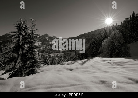 Winter Wald mit Bergkette bei Gegenlicht, Schwarzweiß, Spiesser, Unterjoch, Oberallgäu, Bayern, Deutschland, Europa Stockfoto