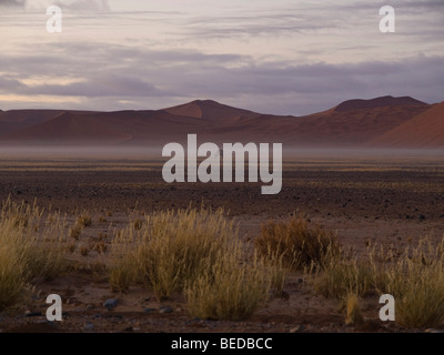 Dünen in der Nähe von Sesriem Morgen Nebel, Namibia, Afrika Stockfoto