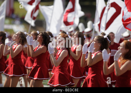 Roten Stepper an der Indiana University Football-Spiel. Stockfoto