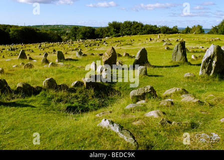 Friedhof aus der Eisenzeit und Viking Alter Lindholm Hoje in der Nähe von Aalborg, Jütland, Dänemark, Europa Stockfoto