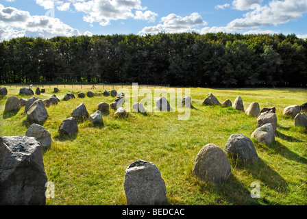 Friedhof aus der Eisenzeit und Viking Alter Lindholm Hoje in der Nähe von Aalborg, Jütland, Dänemark, Europa Stockfoto