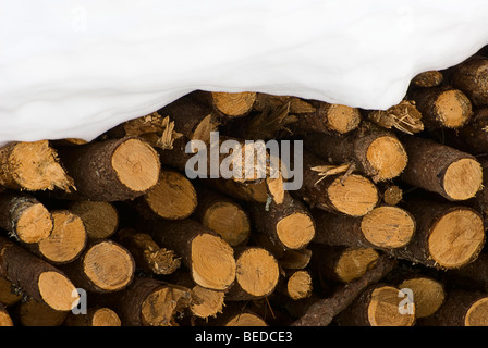 Stapel Brennholz bedeckt in Schnee, Graubündens, der Schweiz, Europa Stockfoto