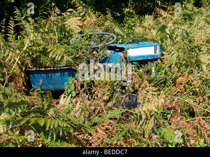 Eine verlassene Traktor im Unterholz auf St. Martin, Scilly-Inseln Stockfoto