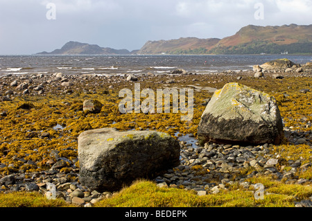 Die Küste bei Ebbe am Inverie auf der Halbinsel Knoydart.   SCO 5357 Stockfoto