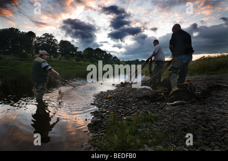 Lachs Fischer bei Canny Fischerei auf dem Fluss Tweed Stockfoto