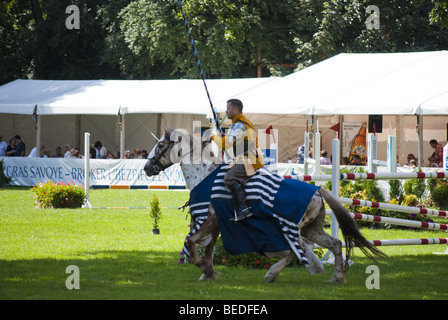 Ritterturnier in Strzegom bei HSBC FEI World Cup 2009 Stockfoto