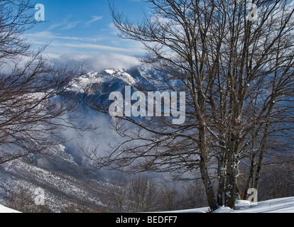 Schnee bedeckte Berge Stockfoto