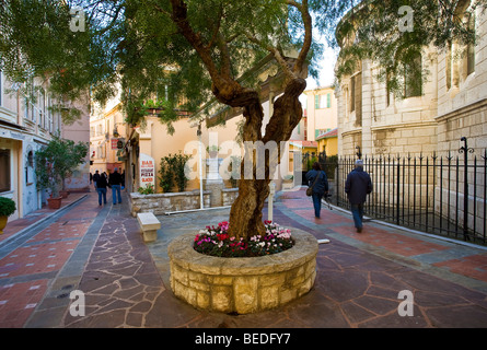 STRAßE SZENE, MONACO Stockfoto