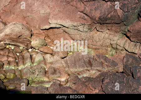 Felsformationen aus Sandstein in Northumberland UK Stockfoto