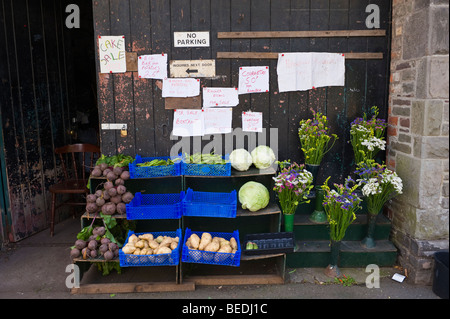 Kleinen lokalen Gemüse und Blumen Stall in Brecon Powys Wales UK Stockfoto