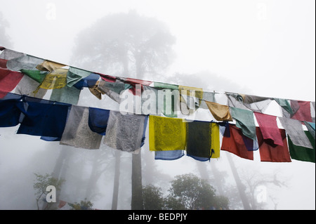 Gebet-Flags im Nebel unter hohen Tannen, Dochu La Pass, ca. 10.000 Fuß, BHUTAN Stockfoto