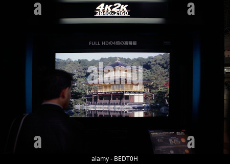 Panasonic FULL HD 3D TV-Zuschauer Stockfoto