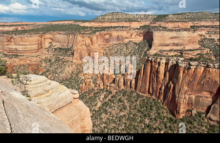 Colorado National Monument Blick vom Rim Rock Drive Künstler Point befindet sich in der Nähe von Städten Fruita und Grand Junction Stockfoto