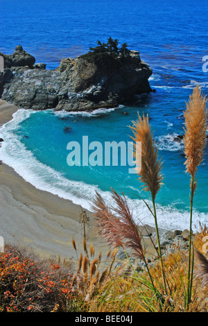 Gräser Rahmen einen Blick auf McWay Cove im Julia Pfeiffer Burns State Park Stockfoto