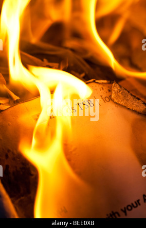 Brennen Sie Ihre Kontoauszüge während der Kreditkrise Stockfoto