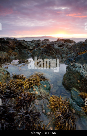 Sonnenuntergang mit Blick auf Holyhead Mountain gesehen hier von Porth Penrhyn-Mawr auf die Isle OF Anglesey. Stockfoto