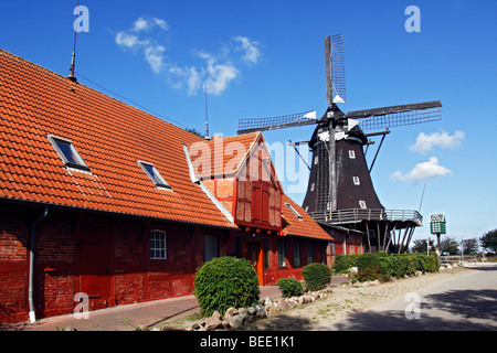 Alte Windmühle, Muehlenmuseum Mühlenmuseum in Lemkenhafen, Insel Fehmarn, Landkreis Ostholstein, Schleswig-Holstein, Deutschland Stockfoto