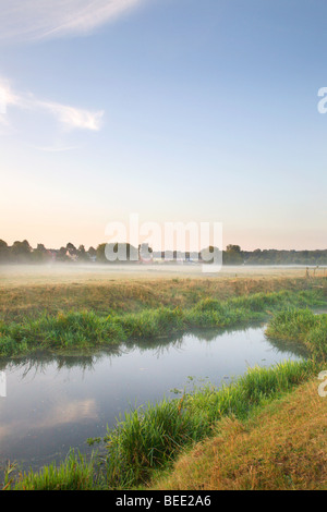 Wässermatten Sudbury Suffolk England Stockfoto