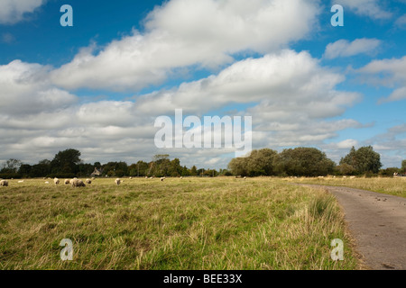 Blick über Wasser-Wiesen in Richtung Kings Schleuse und Wehr auf der Themse in der Nähe von Oxford, UK Stockfoto