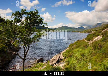 Muckross Lake, Killarney, Co. Kerry, Irland Stockfoto