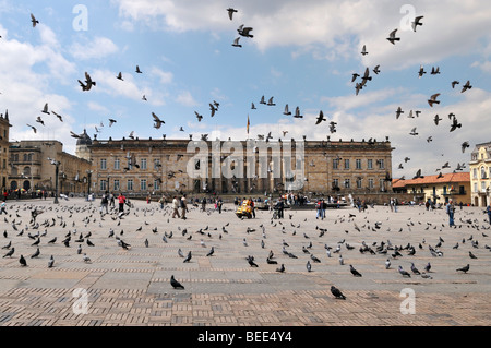 Nationalen Capitol, Capitolio Nacional und Tauben, Bolívar-Platz, Plaza de Bolívar, Bogotá, Kolumbien, Südamerika Stockfoto