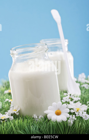 Joghurt im Glas auf eine künstliche Blumenwiese Stockfoto