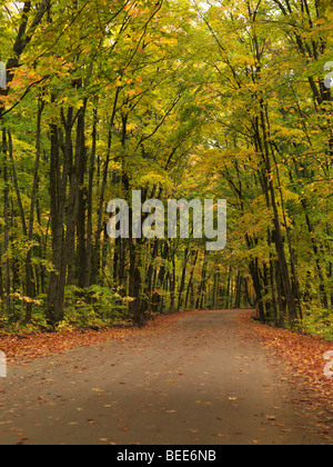 Wicklung unbefestigte Straße durch schöne Herbst Natur Landschaft. Stockfoto