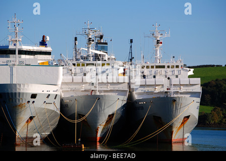 große Frachtschiffe aufgelegt in einer tiefen Bucht auf dem Fluss Fal in der Nähe von Truro in Cornwall, Großbritannien Stockfoto