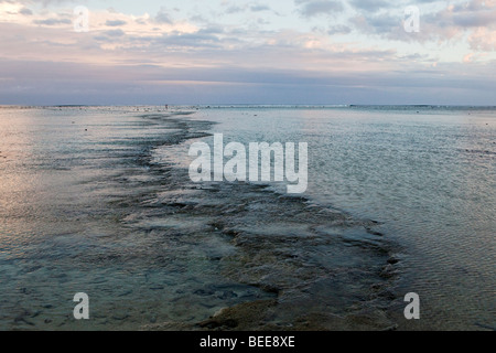 Flaches Riff erstreckt sich bis zum Horizont vor der Küste von Rarotonga in Cook-Inseln Stockfoto