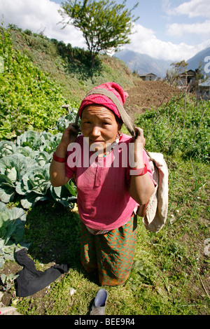 Annapurnas, Nepal - 5. April 2008. Frau arbeitet ihre Felder tragen Produkte zu ihrem Haus zurück Stockfoto