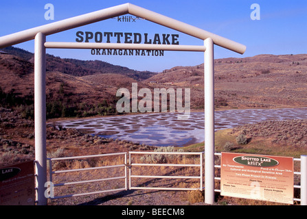 See in der Nähe von Osoyoos, South Okanagan Valley, BC, Britisch-Kolumbien, Kanada - historischen ersten Nationen Heilige Mineralwässer gesichtet Stockfoto