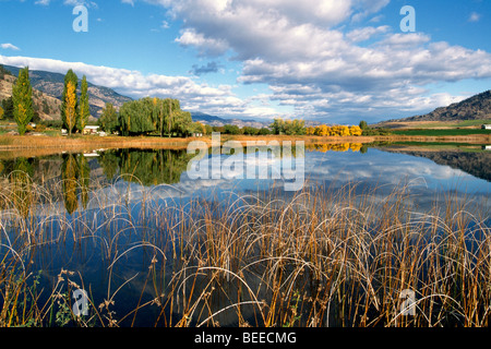 Malerische Landschaft in der Nähe von Osoyoos, BC, South Okanagan Valley, British Columbia, Kanada - Deadman See Herbst / Herbst-Saison Stockfoto