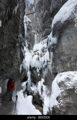 Partnachklamm-Schlucht in der Nähe von Garmisch-Partenkirchen, Werdenfelser Land, Upper Bavaria, Bavaria, Germany Stockfoto