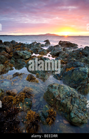 Sonnenuntergang mit Blick auf Holyhead Mountain gesehen hier von Porth Penrhyn-Mawr auf die Isle OF Anglesey. Stockfoto